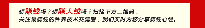 康源綠洲周年慶